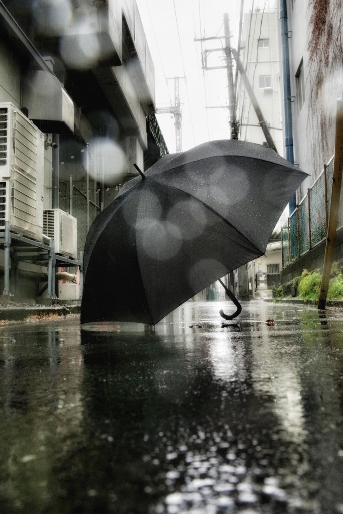 雨にも負けず