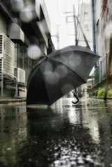 雨にも負けず