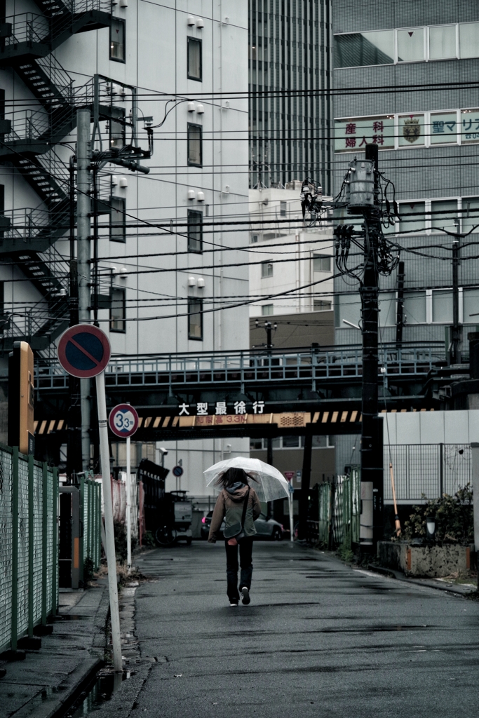 雨の散歩撮影