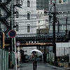 雨の散歩撮影