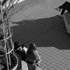 調和と違和感
