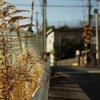 暑いから蔵出し