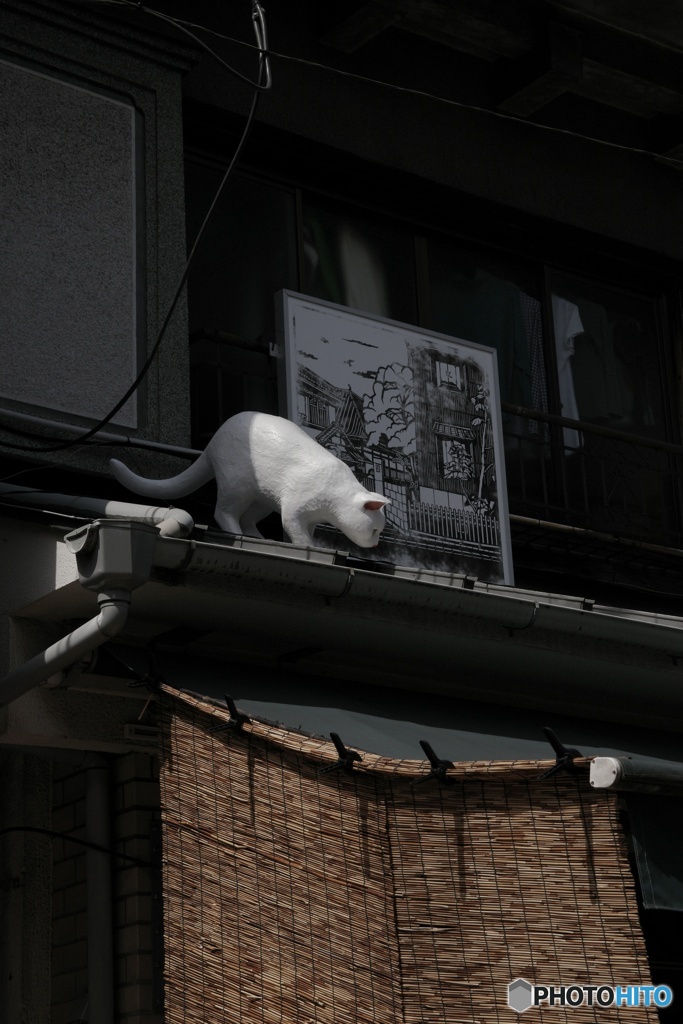 谷根千