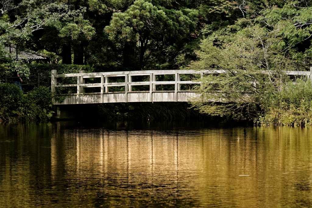 金鱗湖(別府市湯布院)