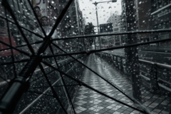 雨の日撮影