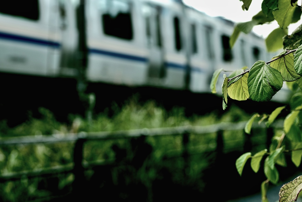 電車