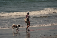 一年前の鎌倉由比ガ浜海岸(神奈川県鎌倉市)