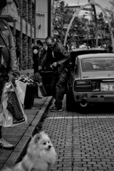 ストリートフォト