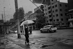 雨のストリートフォト