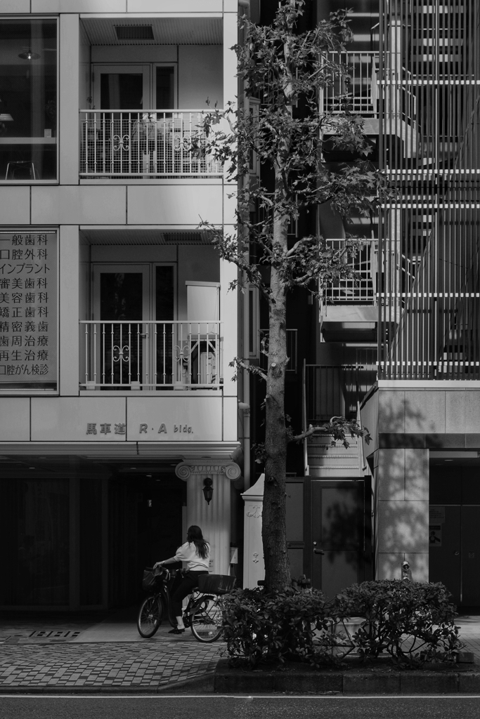 ストリートフォト