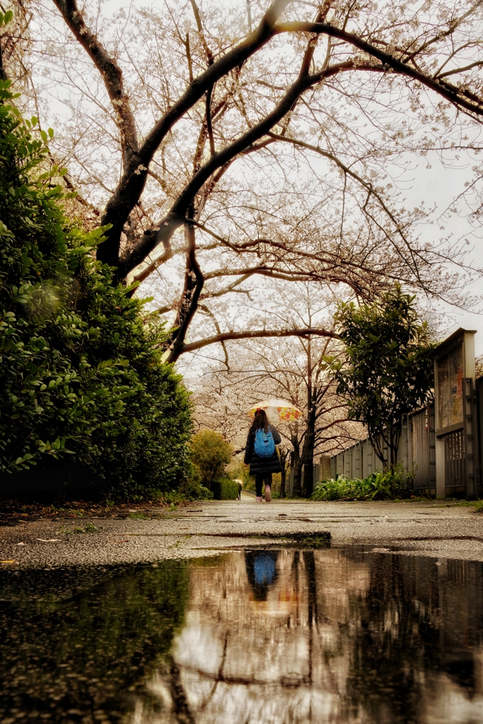 雨