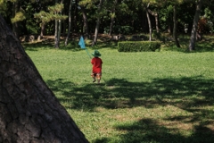 夏の公園