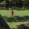夏の公園