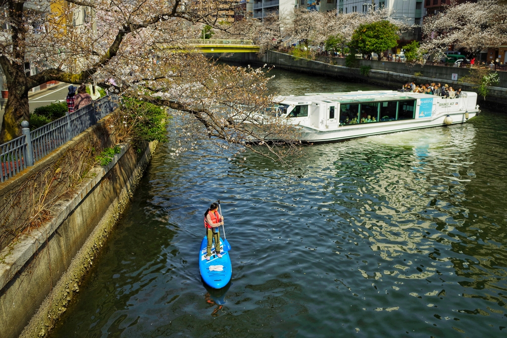 SEA BUSとSAPの女性