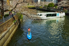 SEA BUSとSAPの女性