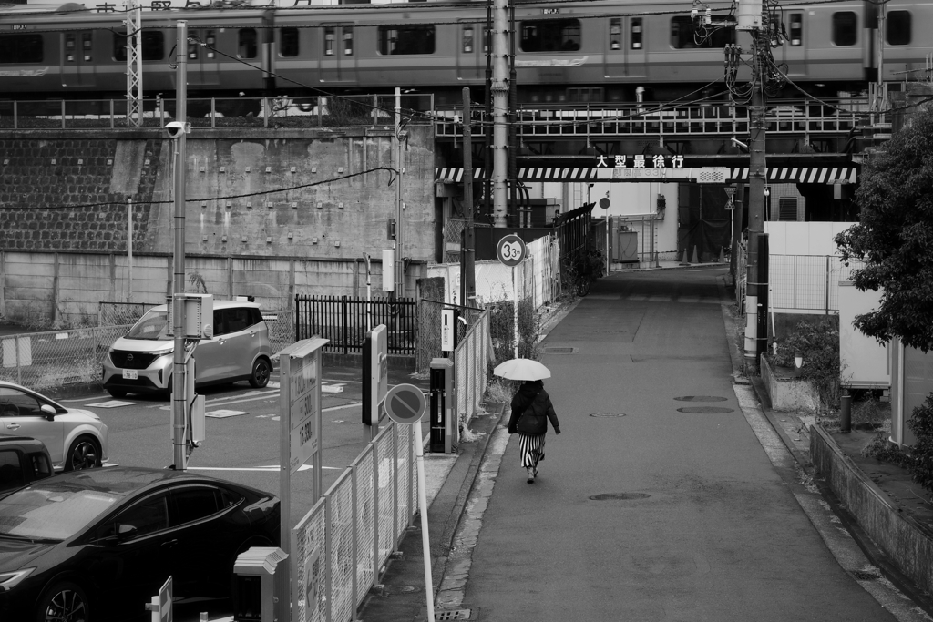 雨
