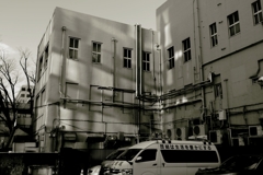 私は、現代的な建築✕　近代的な建築○