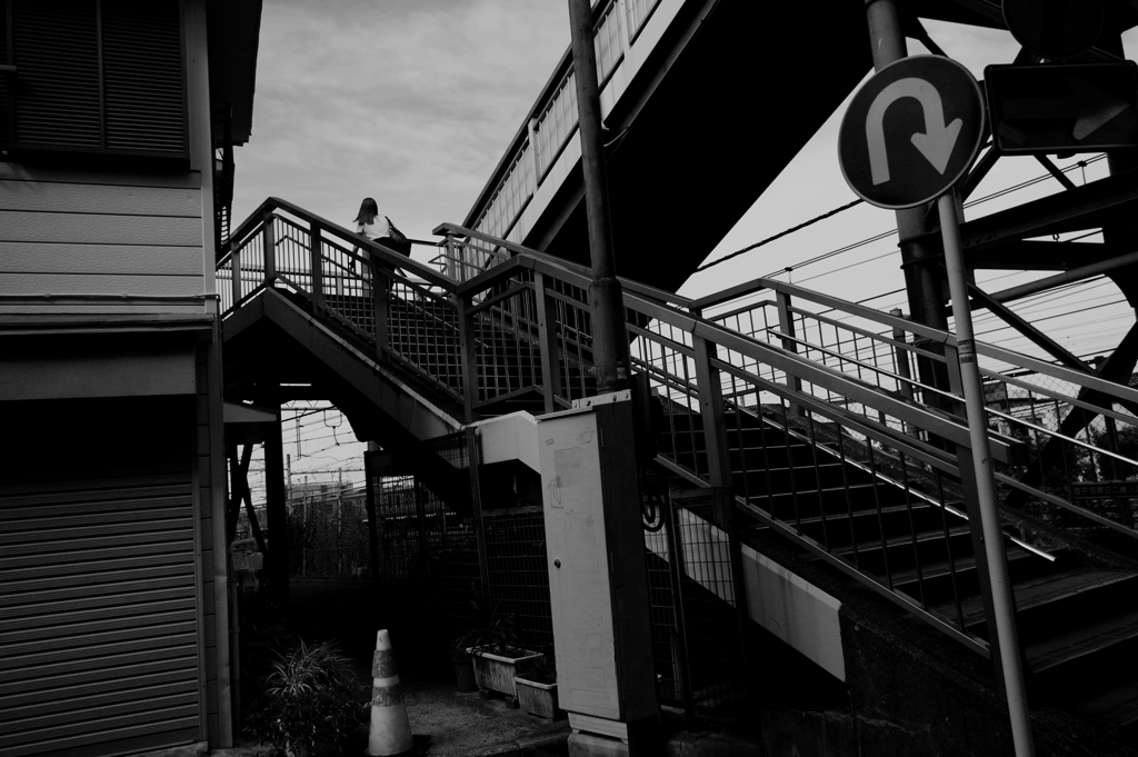 自宅の周りのスナップ