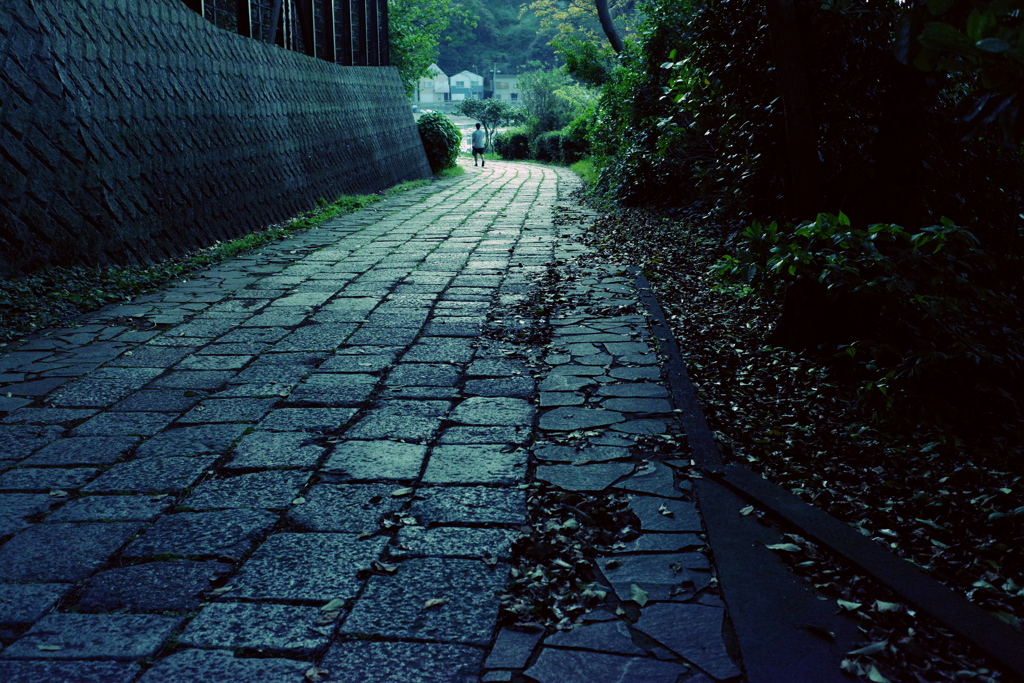 観音崎(横須賀市)