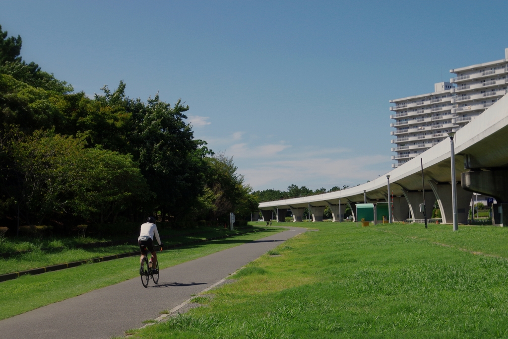 夏の公園
