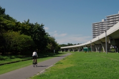 夏の公園
