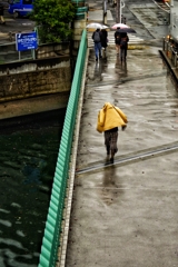 雨