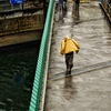雨