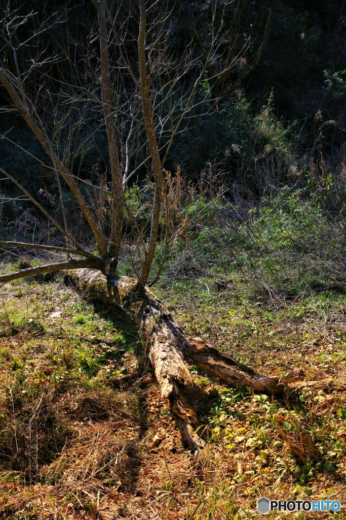 首都圏の秘境①