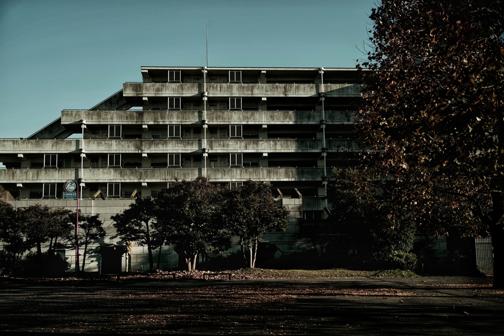 建物