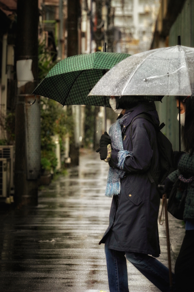 寒い雨の日に