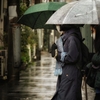 寒い雨の日に