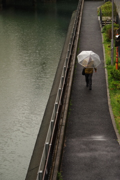 雨のストリートフォト
