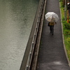 雨のストリートフォト