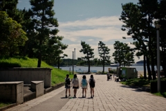 夏の公園