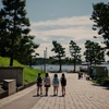 夏の公園