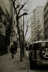 ストリートフォト