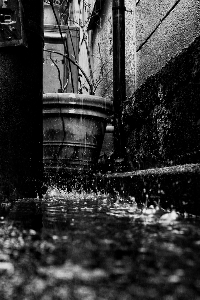 雨のストリートフォト