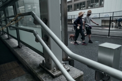 早朝の散歩撮影