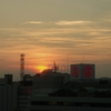 日没