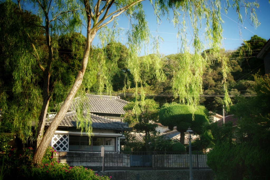 ペリーロード　下田市