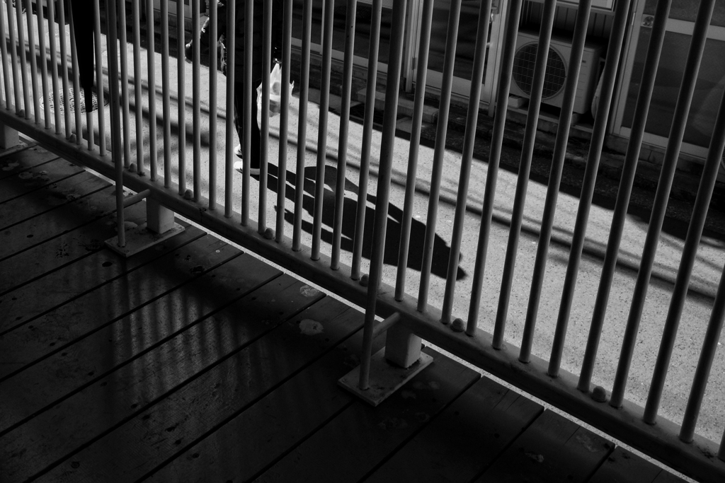 ストリートフォト