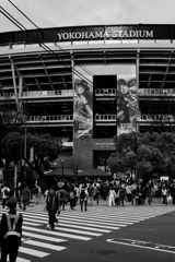 MLB見ながらNPB現像