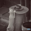 谷根千