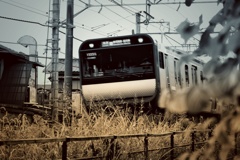 電車