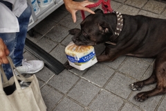 食パン