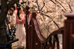 花見