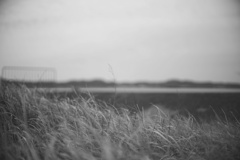 千葉県館山市　海岸