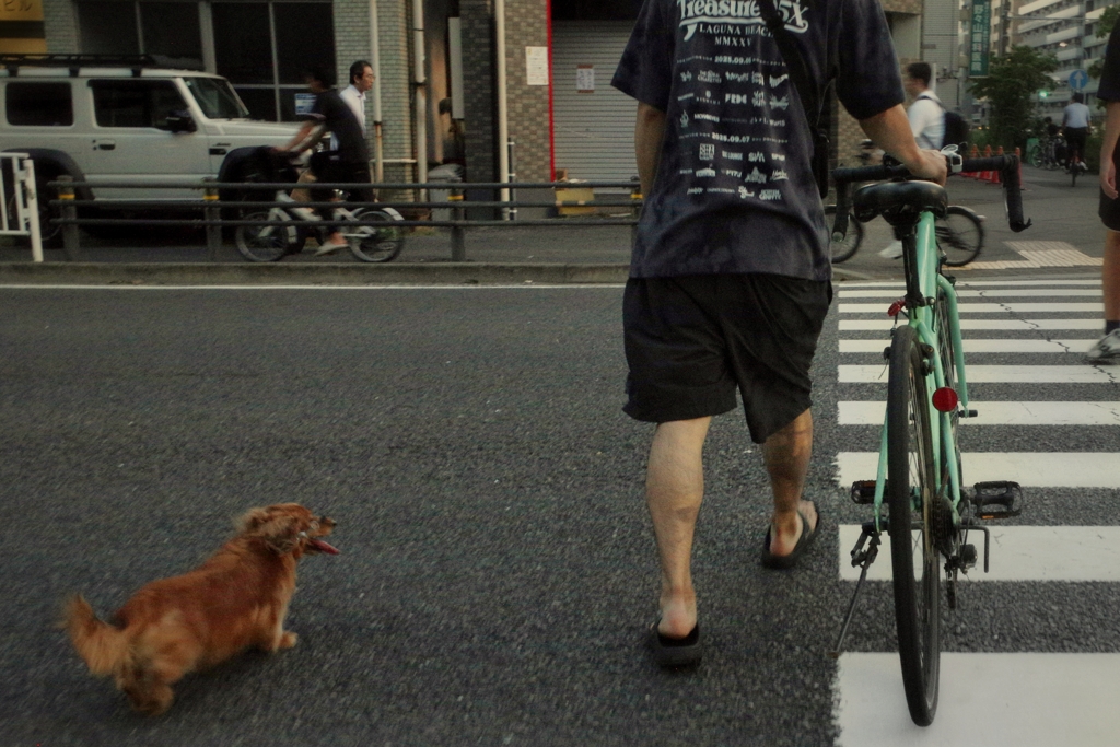 ストリートフォト
