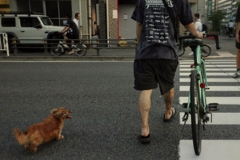ストリートフォト