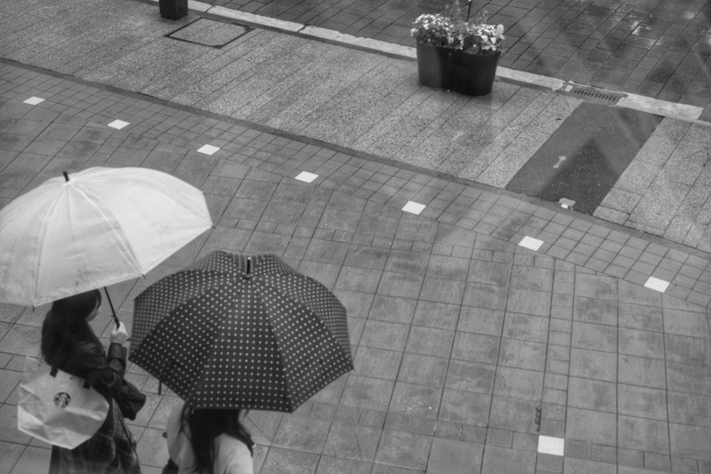 雨の横浜元町